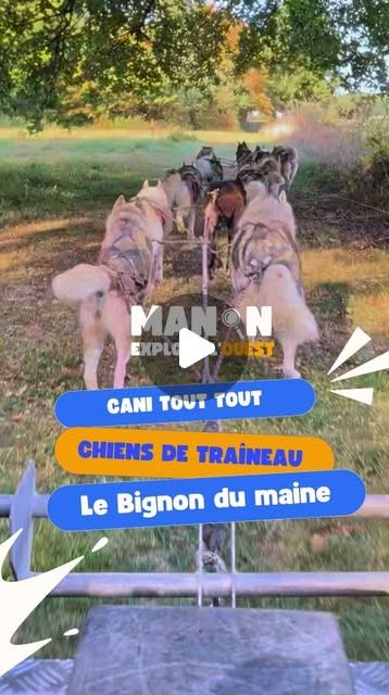 Couverture de la vidéo de Manon sur Cani-ToutTout
