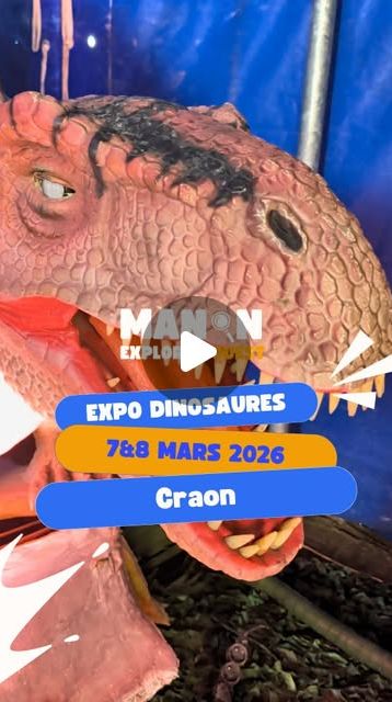 Couverture de la vidéo de Manon sur Expo Découverte Dinosaures