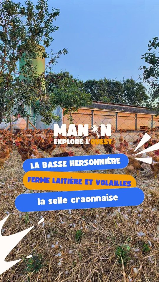 Couverture de la vidéo de Manon sur La ferme de la Basse Hersonnière / Le Comptoir Sellois